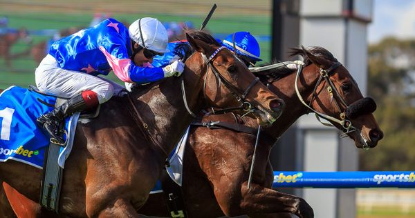 Melham gains bragging rights with improving 3YO Taken