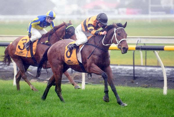 Winter specialist to kick-off at New Plymouth