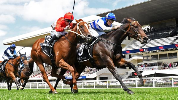 Tomodachi leading Wexford charge in mares’ feature