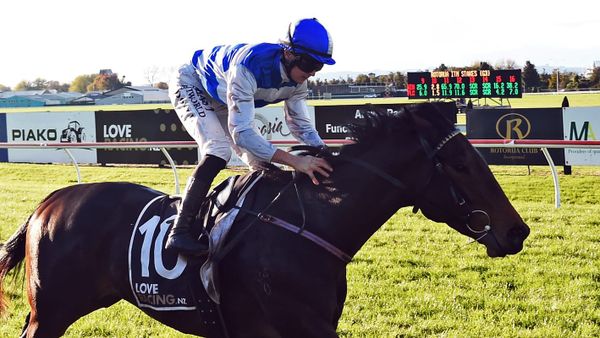 Blueblood hen continues to leave her mark