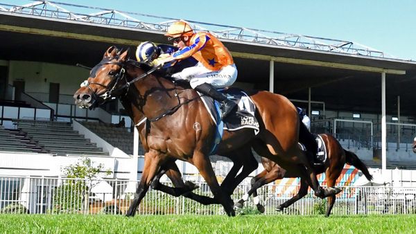 Towering Vision claims stakes victory in desperate finish