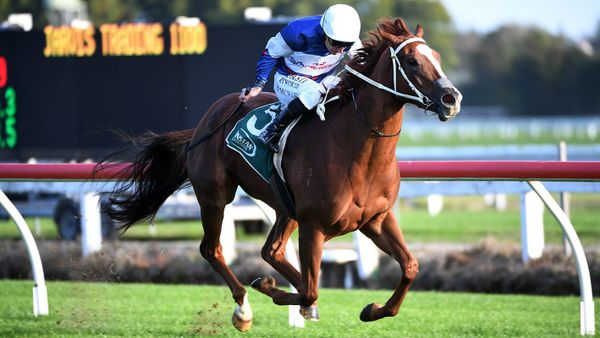 Brisbane stakes raid for Velocious