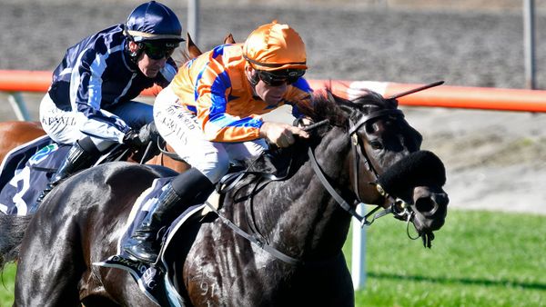 Unstoppable Grylls steers promising filly to victory.