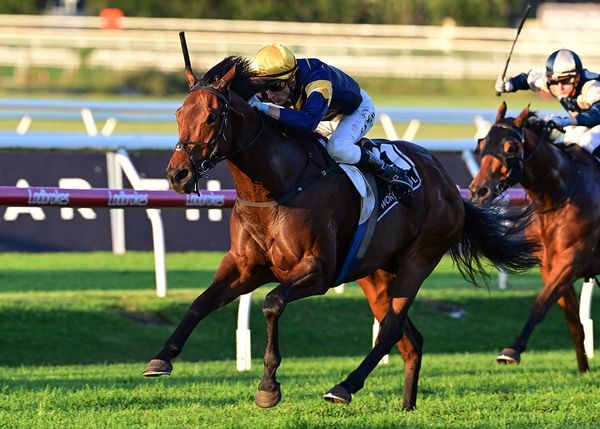 Stradbroke next for flying War Machine