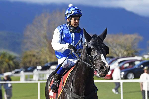 Seesa makes perfect start to riding career