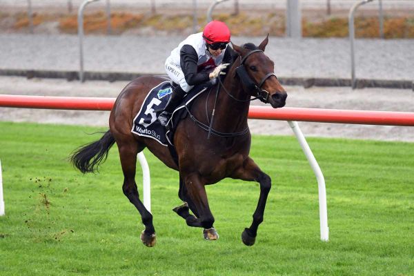 Another age-group target for Acapelago