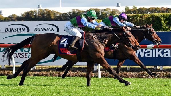 Waikato Steeplechase caps memorable day for Matthews
