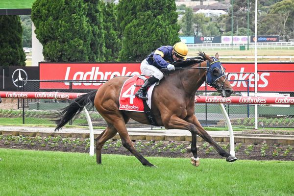 Hayes team banking on Q22 by Choice