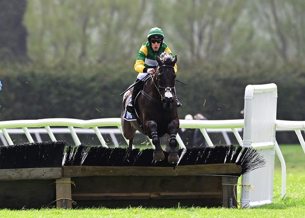 Big boy ready to throw weight around again