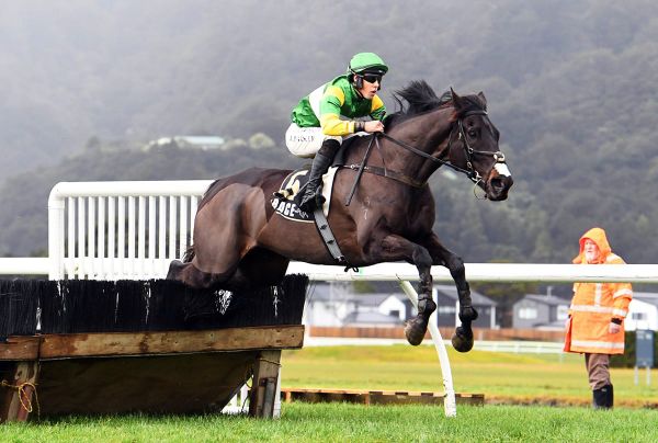 Billy Boy becomes a man in Wellington Hurdle