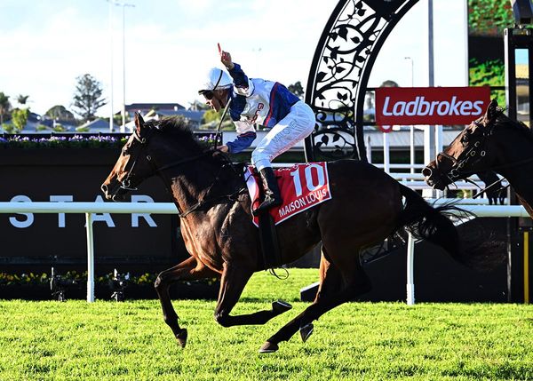 Bold Maison Louis resolute in Queensland Derby
