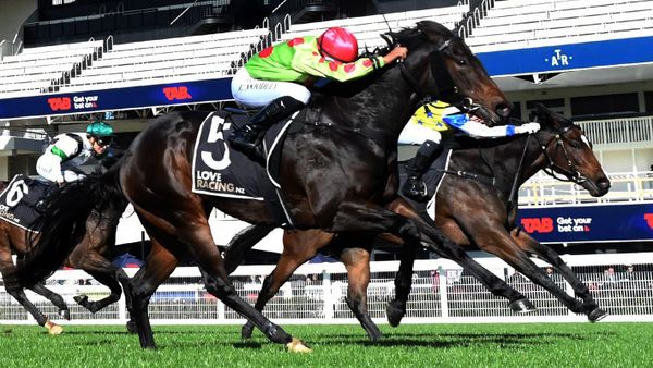 Young stablemates promise bold showings again