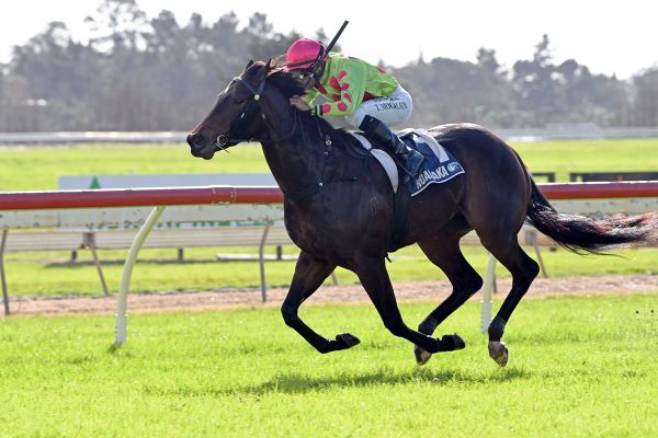 Boombox dominant in 2YO Final