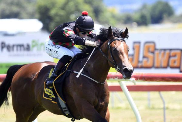 Filly aiming to turn fortunes around