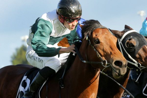 Perfect gift for Okubo at Te Rapa