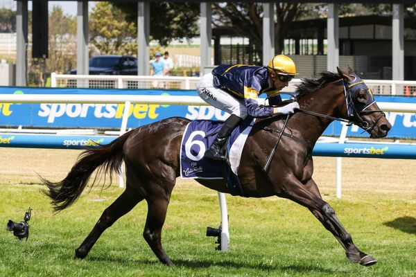 Coeur Volante chases Moroney dream