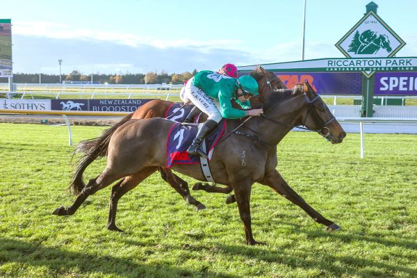 Conor O’Ceirin takes Riccarton feature