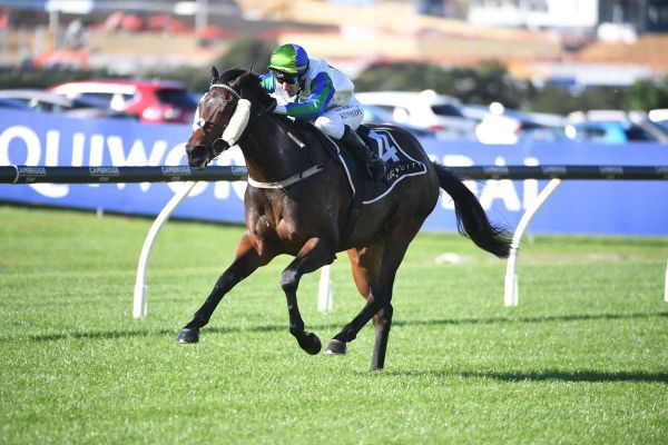 Stakes-winning juvenile sold to Hong Kong