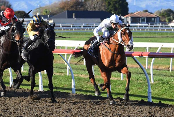 Kauri eyeing further success at New Plymouth