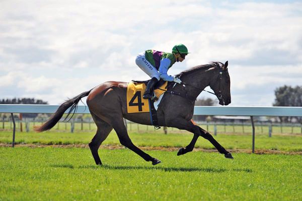 Myers continuing family dynasty