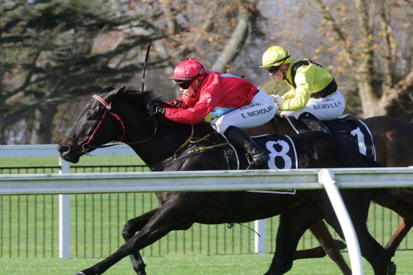 Resilient Nicholas back in the winner’s circle