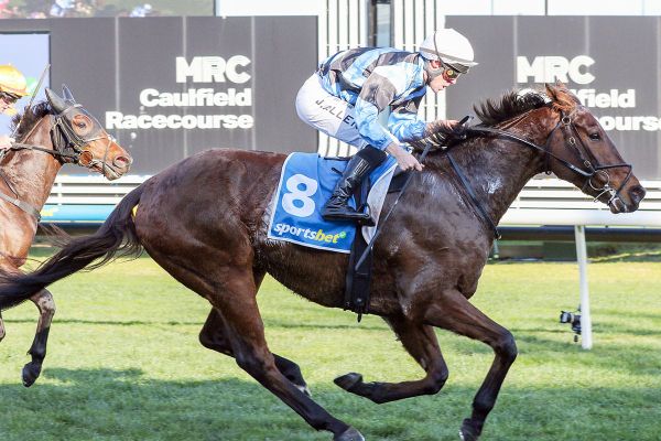 More Caulfield success for Flamin’ Romans