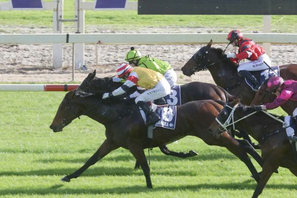 Well-related filly takes flight