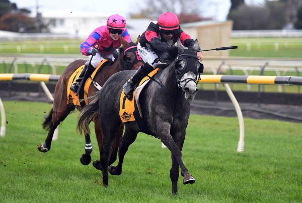 Patterson powerful from afar at New Plymouth