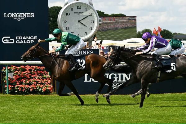 French Group One winner for Almanzor