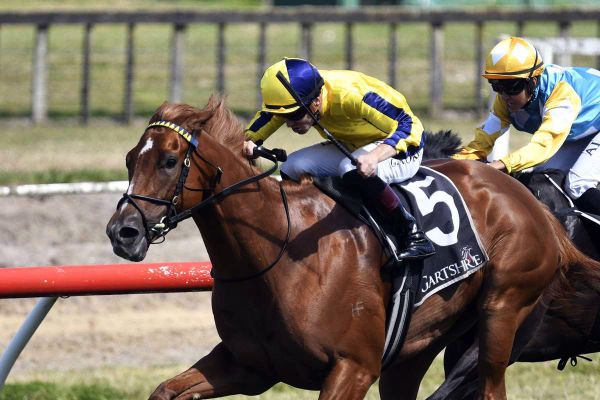 Tauranga finale for talented Wexford trio