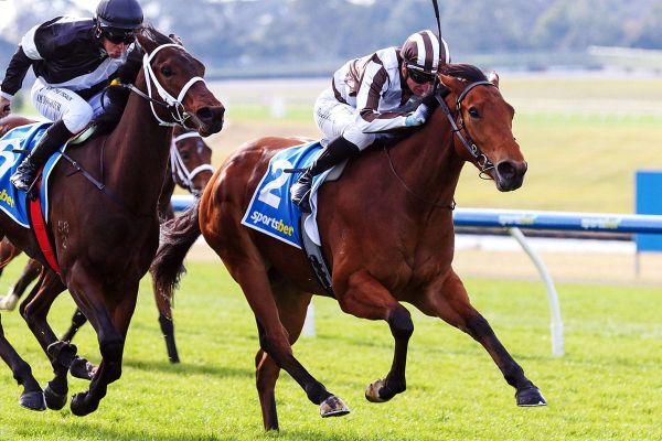 Hello Romeo resumes on winning note