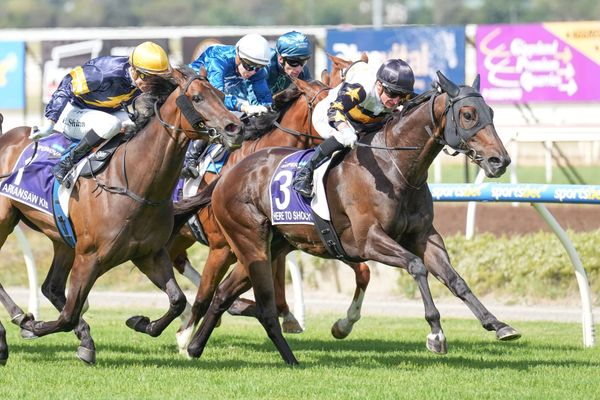 Here To Shock's elite-level aims