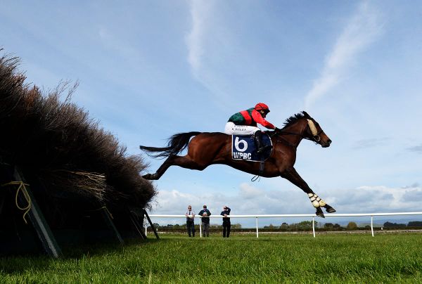 Feature test for talented chasing mare