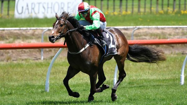 King’s Birthday return for talented Twain