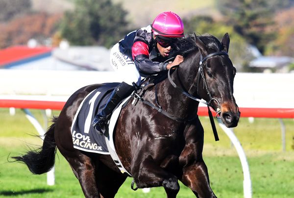 Exciting prospect remains unbeaten at Wanganui