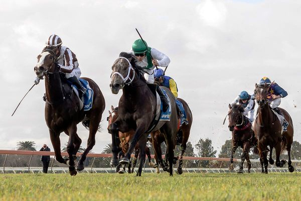 Tivaci two-year-old takes Oaklands Plate