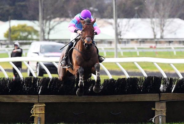 Seasoned pair out to continue stable dominance