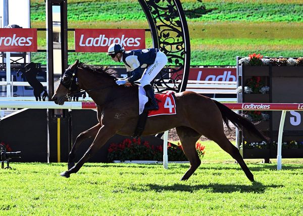 Pier picks up Stradbroke consolation