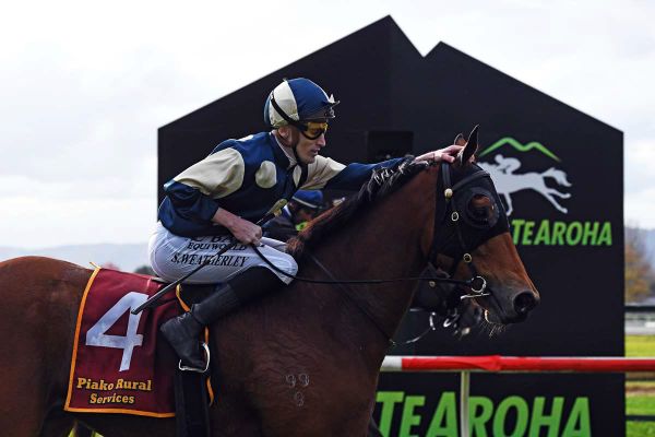 Wayne Wilson the next best thing for Pier