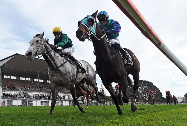 Piper’s Son outfights the favourite in Raukawa Cup