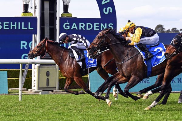 Puntin a promising three-year-old for Baker