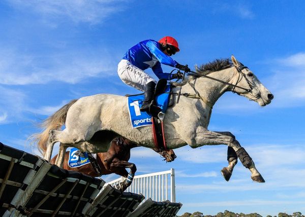 Cunning hurdler's sixth straight win