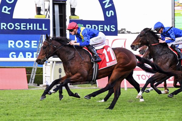 Sacred Rocks makes winning Sydney debut