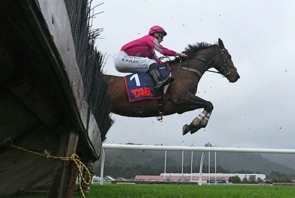 Bright future for promising hurdlers