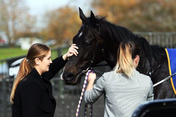 Logan aces naming of Matamata debut hope