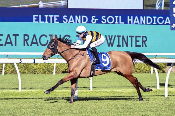 She’s Unusual cruises to front-running success