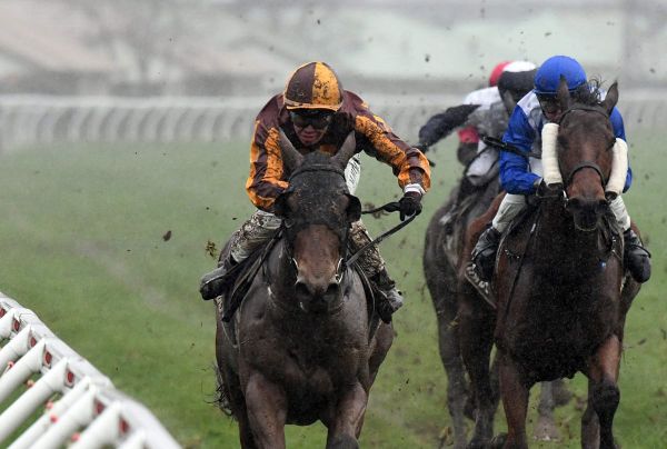 Sinbin back on top at favourite venue