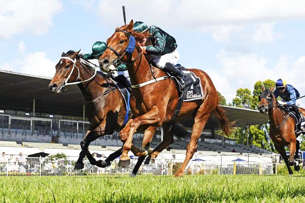 Former northerners give Dennis strong hand at Oamaru