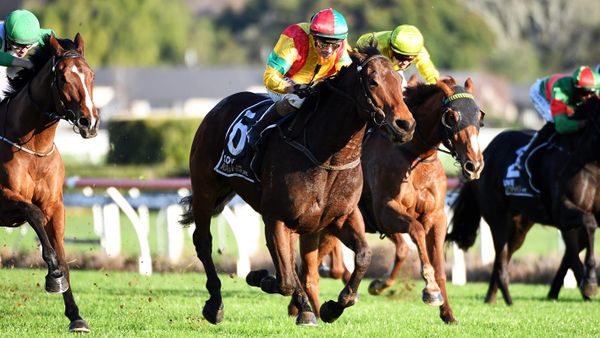Soldier Boy tastes victory after three-horse Te Rapa war