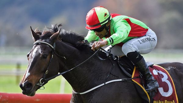 Spring stakes assignments for Twain